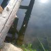 IMG_20230704_090703_1.jpg