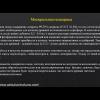 7954B152-A083-484C-9753-D8B5A2DBC172.jpeg