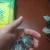IMG_20231013_223345.jpg