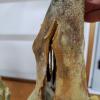 IMG-20231205-WA0008.jpg