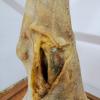IMG-20231205-WA0010.jpg