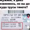 1702402290503.jpg