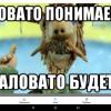 маловато.jpg