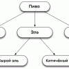 raw-ale-hierarchy.png