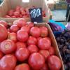 IMG-20240821-WA0005.jpg
