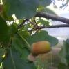 IMG_20240830_160157_1.jpg