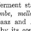 pombe1.JPG