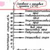 Screenshot_20250114-190327_Yandex Start.jpg