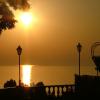 DSCF4601.JPG