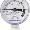 2 bar manometer.jpg