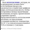 Screenshot_20250609_205243_Photos.jpg