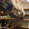 IMG-20250611-WA0009.jpg
