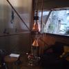 IMG_20250313_174749_940.jpg