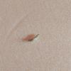 IMG-20250705-WA0002.jpg