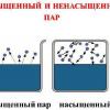 IMG_7553.jpeg