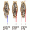 S50808-095404.png