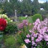 IMG_20250814_143318.jpg