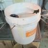 IMG-20250908-WA0009.jpg