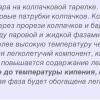 IMG_7683.jpeg