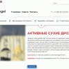Opera _2025-10-07_152035_www.angelyeast.ru.png