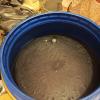 IMG_20260425_134951_349.jpg