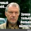 34586903_11169.jpeg