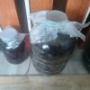 IMG20260602145156.jpg