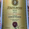 Диплом 1-е место.jpg