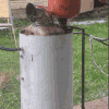 �����������_2026-07-16_153635139.png