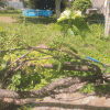 �����������_2026-07-21_104639891.png