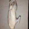 IMG_20260724_192654.jpg