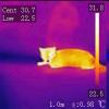20260904_165430_ir.JPG