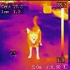 20260904_165621_ir.JPG