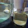 IMG_20260919_183244_932.jpg