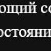 гербер.JPG